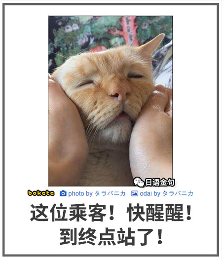 0050  中文网络风尚图片
