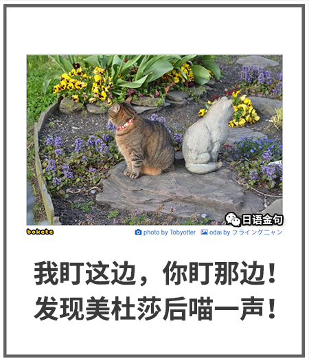 0058  中文网络风尚图片