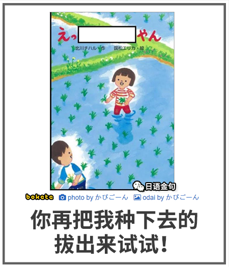 0065  中文网络风尚图片