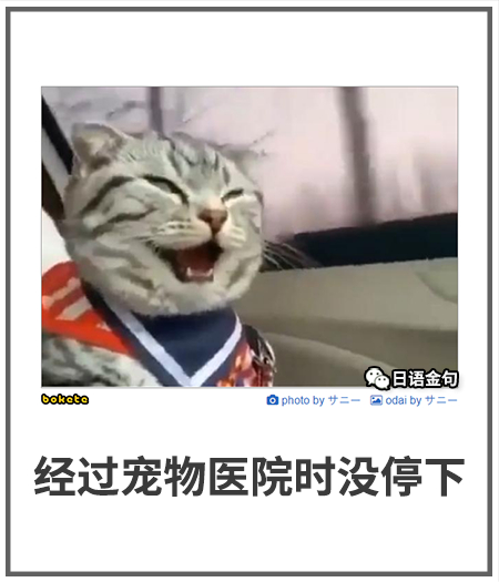 0066  中文网络风尚图片