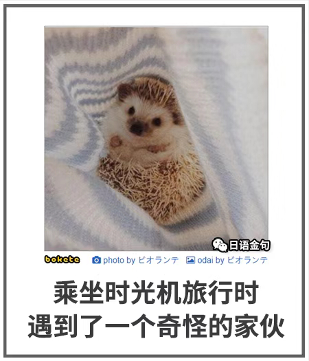 0086  中文网络风尚图片