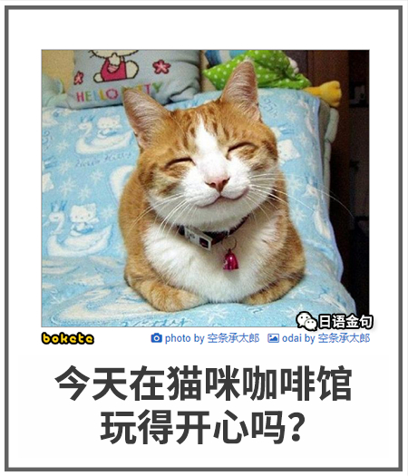 0094  中文网络风尚图片