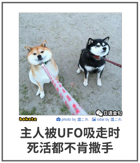 0097  中文网络风尚图片