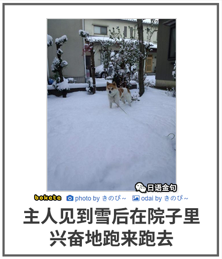 0103  中文网络风尚图片