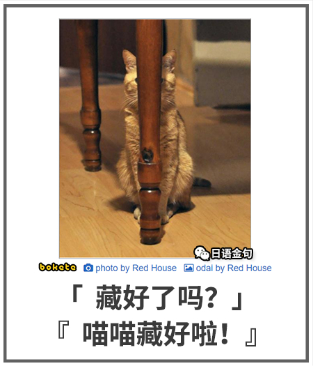 0108  中文网络风尚图片