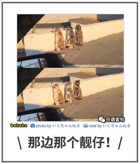 0123  中文网络风尚图片