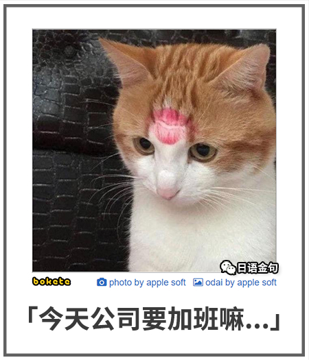 0134  中文网络风尚图片