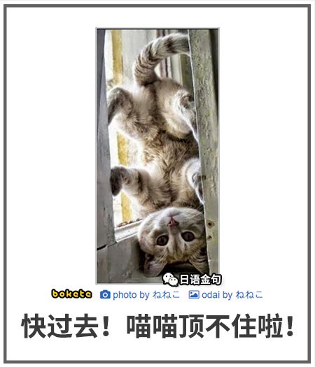 0140  中文网络风尚图片