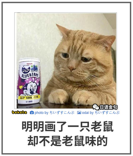 0153  中文网络风尚图片