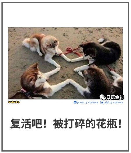 0161  中文网络风尚图片