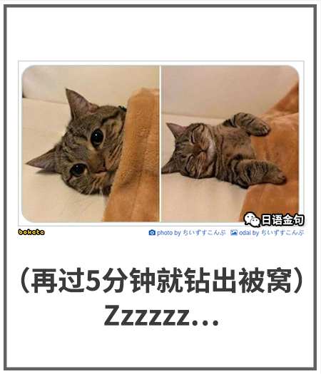 0163  中文网络风尚图片
