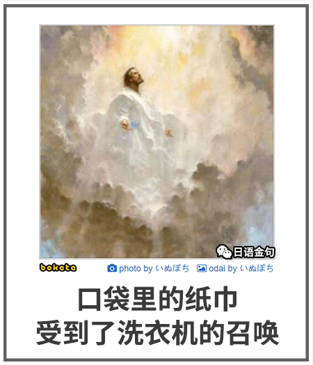 0167  中文网络风尚图片