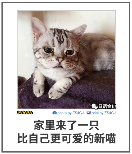 0169  中文网络风尚图片