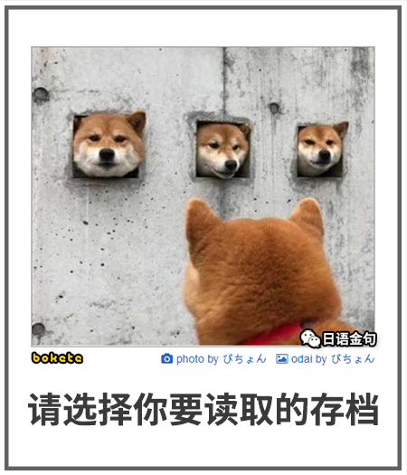 0171  中文网络风尚图片