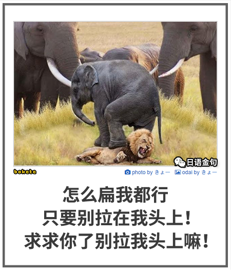 0196  中文网络风尚图片