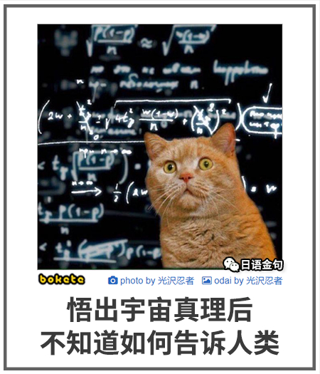 0199  中文网络风尚图片