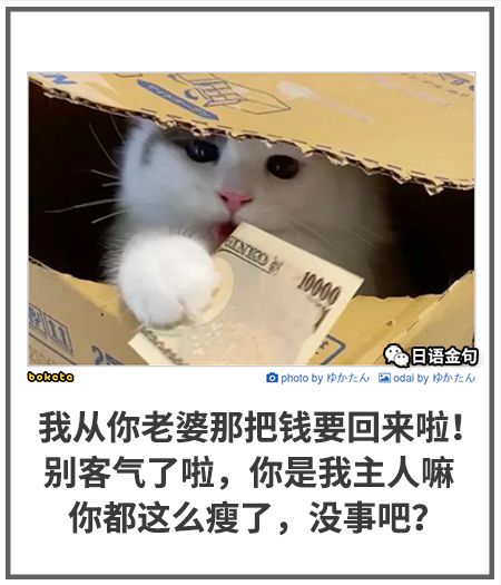 0203  中文网络风尚图片