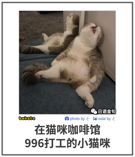 0214  中文网络风尚图片
