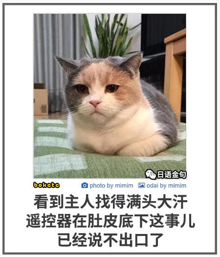 0219  中文网络风尚图片