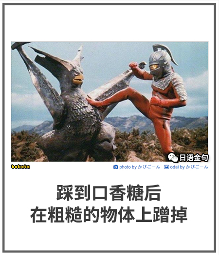 0225  中文网络风尚图片
