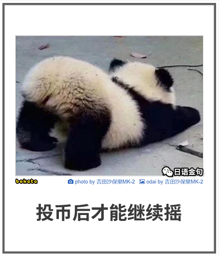 0227  中文网络风尚图片