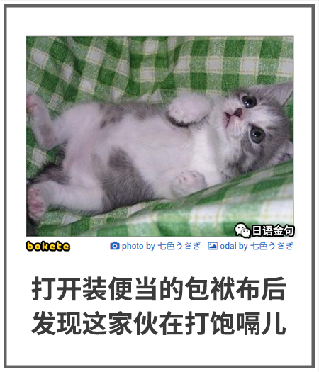 0230  中文网络风尚图片