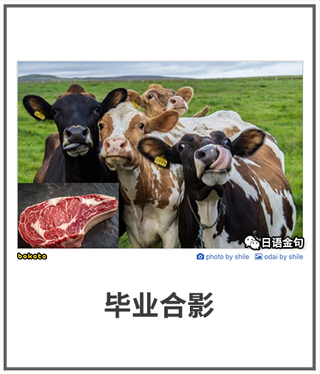 0233  中文网络风尚图片