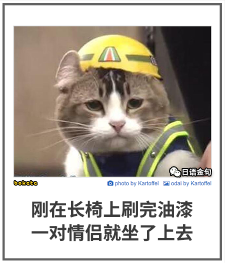 0248  中文网络风尚图片