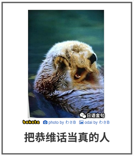0249  中文网络风尚图片