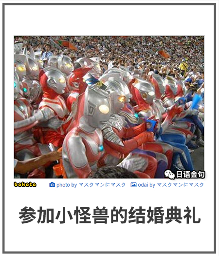 0251  中文网络风尚图片