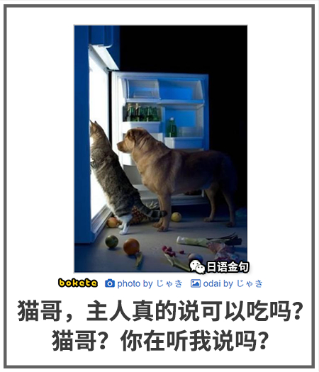0254  中文网络风尚图片