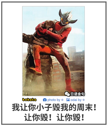 0259  中文网络风尚图片