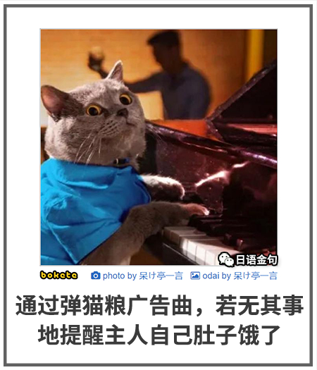 0260  中文网络风尚图片