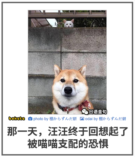0265  中文网络风尚图片