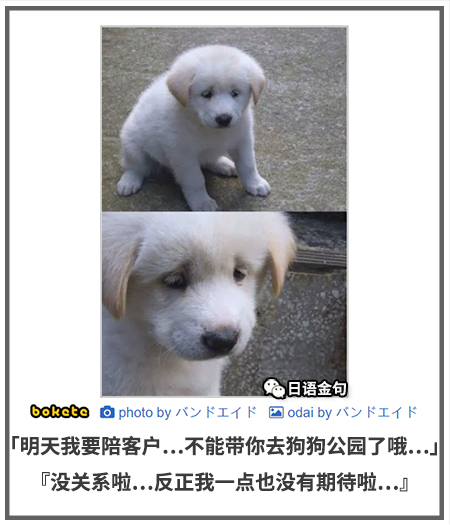 0267  中文网络风尚图片