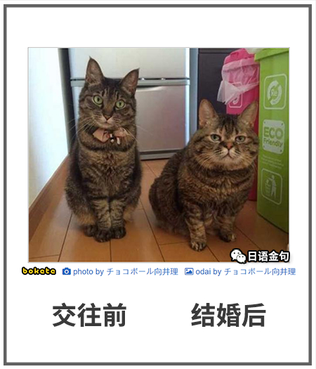 0272  中文网络风尚图片