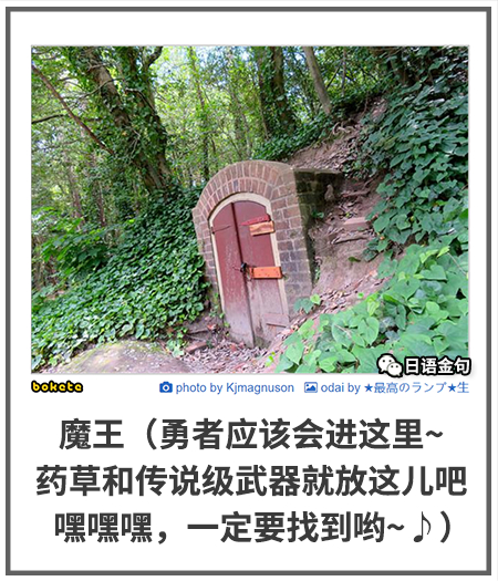 0288  中文网络风尚图片