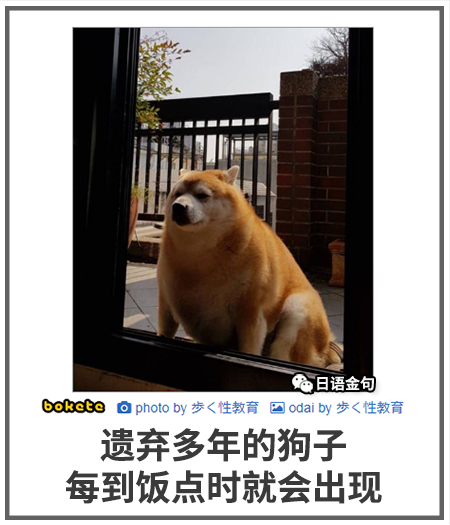 0300  中文网络风尚图片
