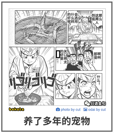 0304  中文网络风尚图片