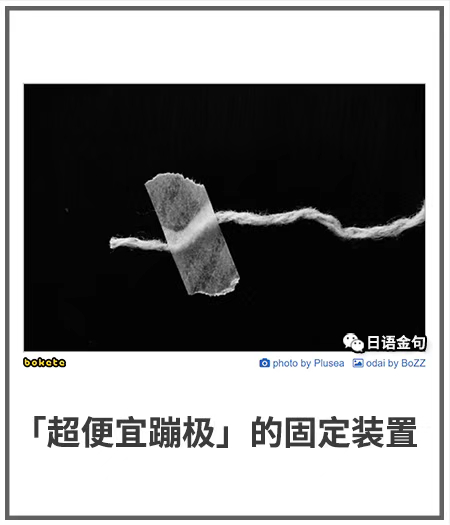 0319  中文网络风尚图片