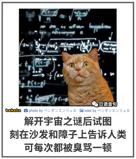 0325  中文网络风尚图片