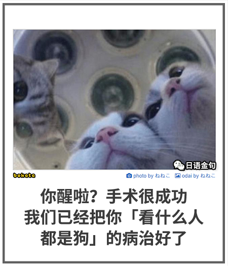 0333  中文网络风尚图片