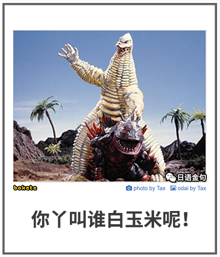 0338  中文网络风尚图片