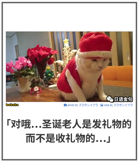 0342  中文网络风尚图片