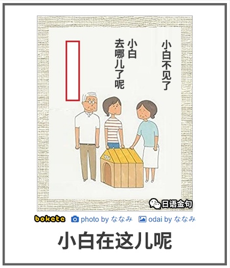 0344  中文网络风尚图片