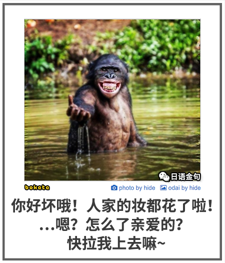 0347  中文网络风尚图片
