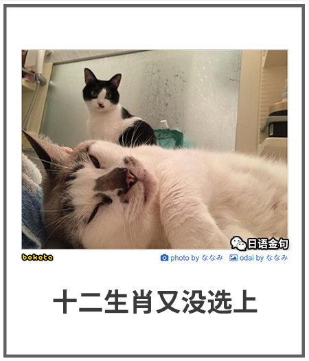 0350  中文网络风尚图片