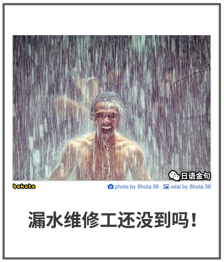 0366  中文网络风尚图片