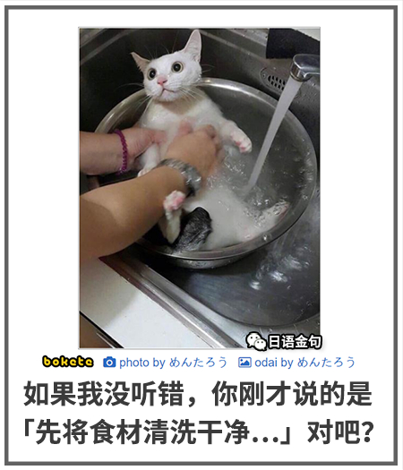 0370  中文网络风尚图片