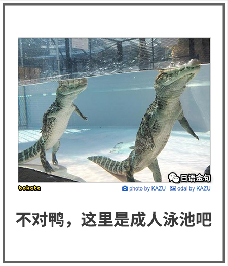 0371  中文网络风尚图片